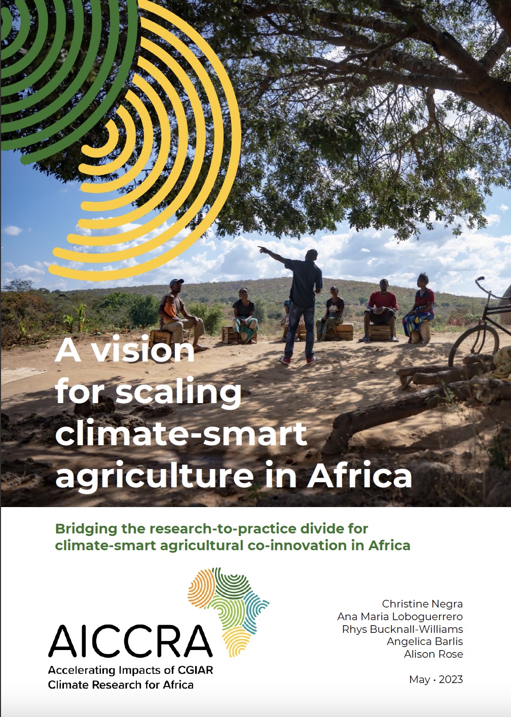 A vision for scaling climate-smart agriculture in Africa