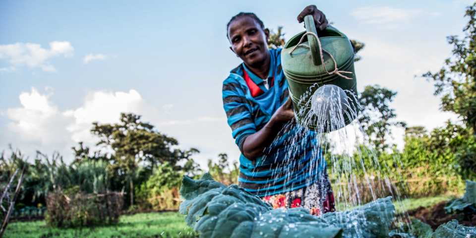 Entrepreneurial farmer Bekelech Belcachew who restored the soils on her plot by installing water harvesting.