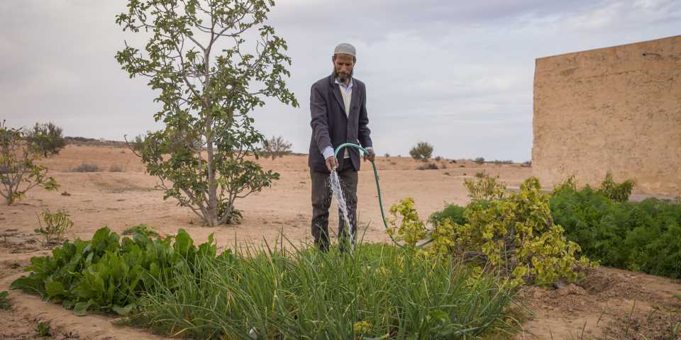 Farmer families depend on various sources to make a living in marginal lands where rainfall is extremely low and unreliable, and survival difficult.