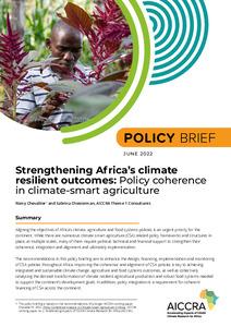 Strengthening Africa’s Climate Resilient Outcomes: Policy Coherence In ...